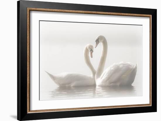 Forever-Monika Schwager-Framed Photographic Print