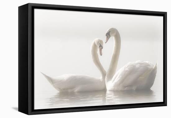 Forever-Monika Schwager-Framed Premier Image Canvas