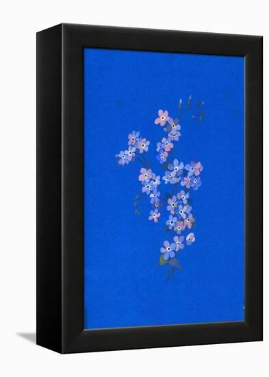 Forget-Me-Not, 1960s-George Adamson-Framed Premier Image Canvas