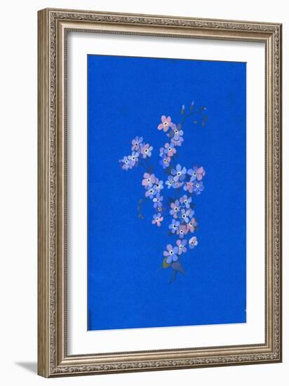 Forget-Me-Not, 1960s-George Adamson-Framed Giclee Print