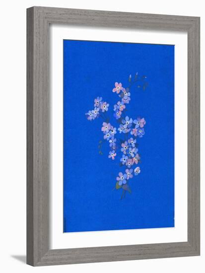 Forget-Me-Not, 1960s-George Adamson-Framed Giclee Print