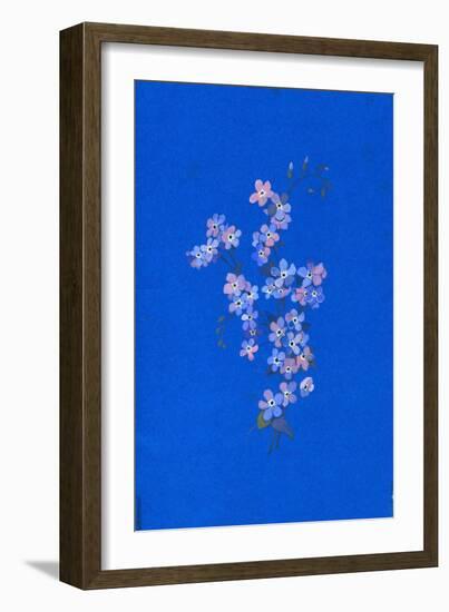 Forget-Me-Not, 1960s-George Adamson-Framed Giclee Print