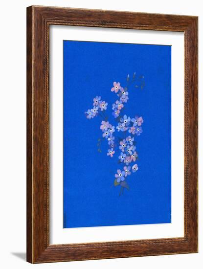 Forget-Me-Not, 1960s-George Adamson-Framed Giclee Print