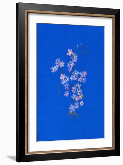 Forget-Me-Not, 1960s-George Adamson-Framed Giclee Print