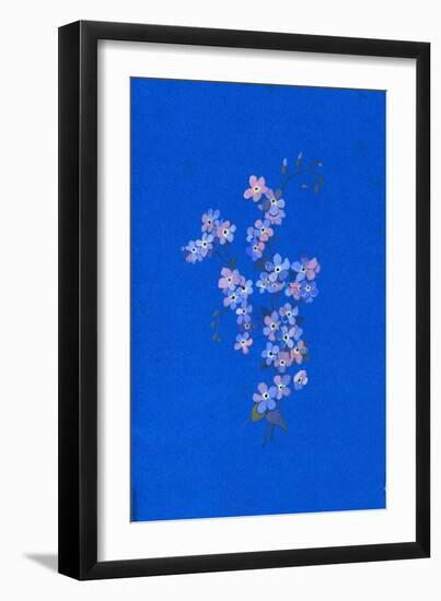 Forget-Me-Not, 1960s-George Adamson-Framed Giclee Print