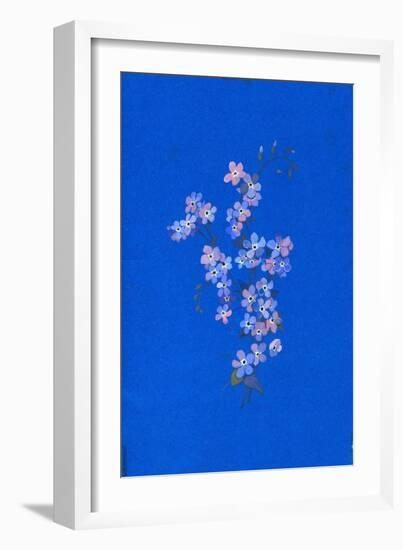 Forget-Me-Not, 1960s-George Adamson-Framed Giclee Print