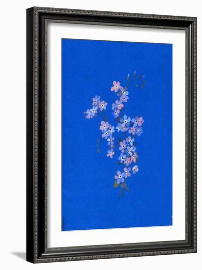 Forget-Me-Not, 1960s-George Adamson-Framed Giclee Print