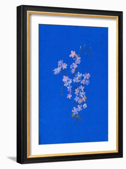 Forget-Me-Not, 1960s-George Adamson-Framed Giclee Print