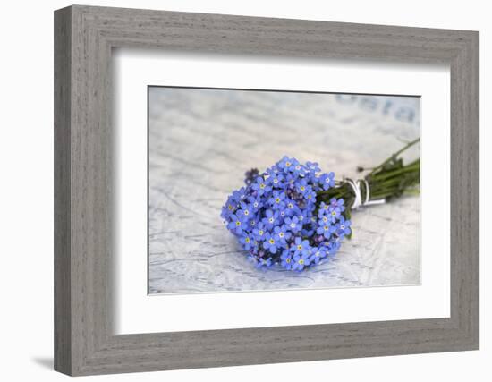 Forget-Me-Not, Bunch-Andrea Haase-Framed Photographic Print