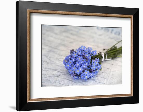 Forget-Me-Not, Bunch-Andrea Haase-Framed Photographic Print