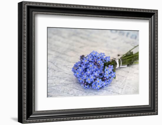 Forget-Me-Not, Bunch-Andrea Haase-Framed Photographic Print