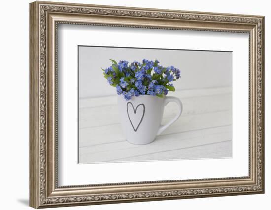 Forget-me-not flowers in coffee cup, close up, still life-Andrea Haase-Framed Photographic Print