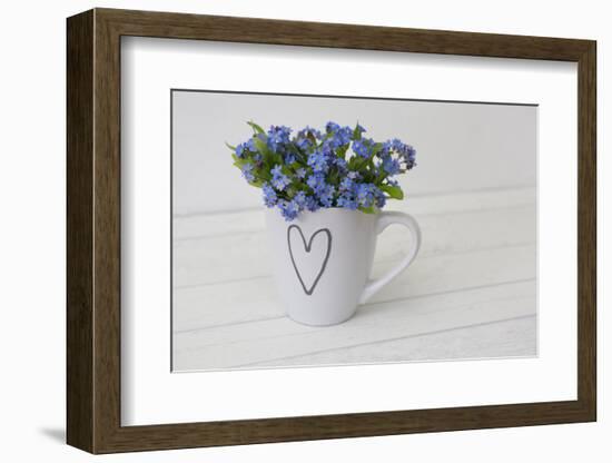 Forget-me-not flowers in coffee cup, close up, still life-Andrea Haase-Framed Photographic Print