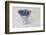 Forget-me-not flowers in coffee cup, close up, still life-Andrea Haase-Framed Photographic Print