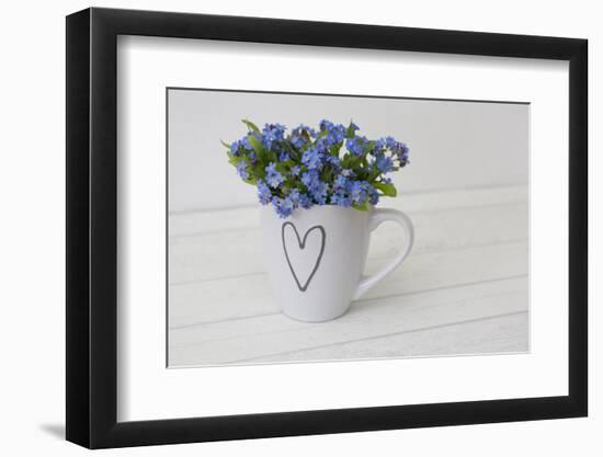 Forget-me-not flowers in coffee cup, close up, still life-Andrea Haase-Framed Photographic Print