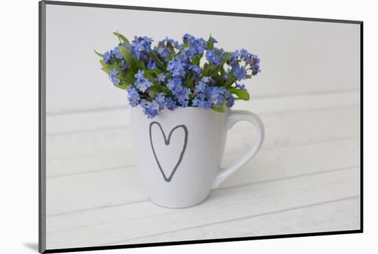 Forget-me-not flowers in coffee cup, close up, still life-Andrea Haase-Mounted Photographic Print