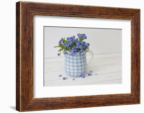 Forget-me-not flowers in milk jug, close up, still life-Andrea Haase-Framed Photographic Print