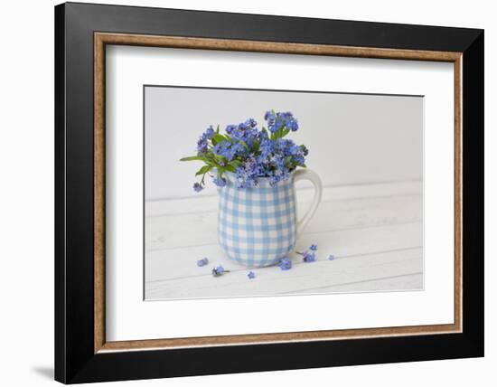 Forget-me-not flowers in milk jug, close up, still life-Andrea Haase-Framed Photographic Print