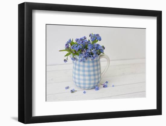 Forget-me-not flowers in milk jug, close up, still life-Andrea Haase-Framed Photographic Print