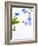 Forget-Me-Not, Myosotis Sylvatica, Leaves, Blossoms, Blue, Violet, White, Still Life-Axel Killian-Framed Photographic Print