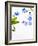 Forget-Me-Not, Myosotis Sylvatica, Leaves, Blossoms, Blue, Violet, White, Still Life-Axel Killian-Framed Photographic Print