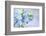 Forget Me Not on Blue Background-egal-Framed Photographic Print