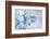 Forget Me Not on Blue Background-egal-Framed Photographic Print