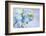 Forget Me Not on Blue Background-egal-Framed Photographic Print