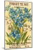 Forget Me Not Seed Packet-null-Mounted Art Print