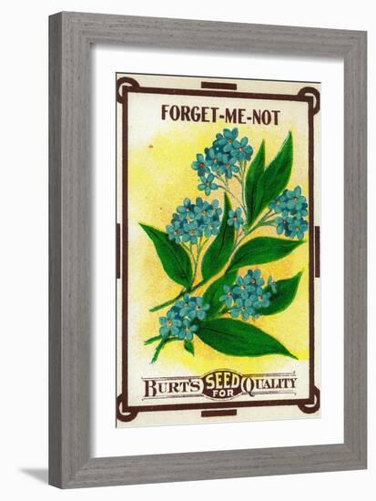 Forget Me Not Seed Packet-Lantern Press-Framed Art Print