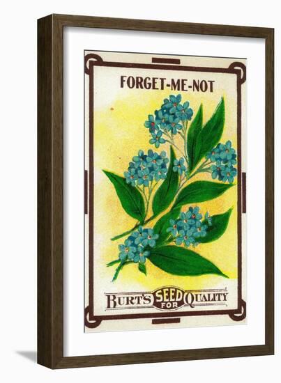 Forget Me Not Seed Packet-Lantern Press-Framed Art Print