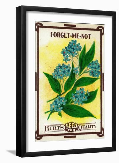 Forget Me Not Seed Packet-Lantern Press-Framed Art Print