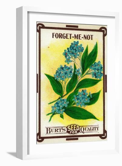 Forget Me Not Seed Packet-Lantern Press-Framed Art Print