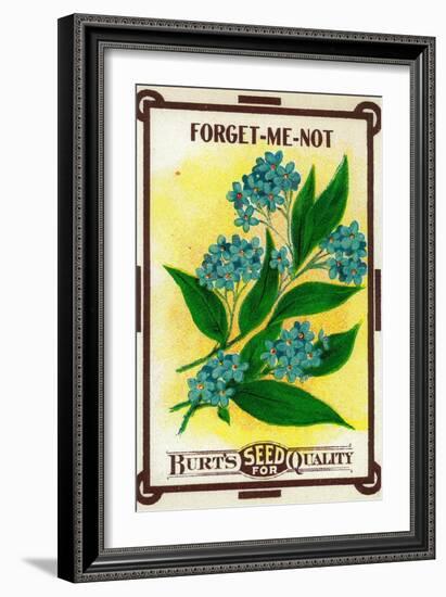 Forget Me Not Seed Packet-Lantern Press-Framed Art Print