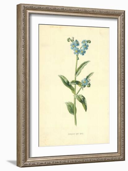 Forget-Me-Not-Frederick Edward Hulme-Framed Giclee Print