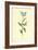 Forget-Me-Not-Frederick Edward Hulme-Framed Giclee Print