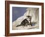 Forget-Me-Not-Horatio Henri Couldery-Framed Giclee Print