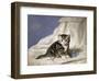 Forget-Me-Not-Horatio Henri Couldery-Framed Giclee Print