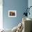Forget-Me-Not-Wilson Hepple-Framed Giclee Print displayed on a wall