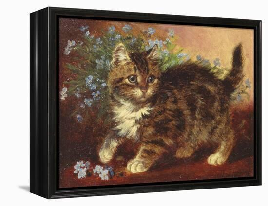 Forget-Me-Not-Wilson Hepple-Framed Premier Image Canvas