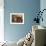 Forget-Me-Not-Wilson Hepple-Framed Giclee Print displayed on a wall