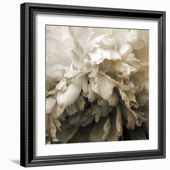 Forget-Katherine Sanderson-Framed Photographic Print