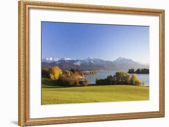 Forggensee Lake and Allgau Alps, Fussen, Ostallgau, Allgau, Allgau Alps, Bavaria, Germany, Europe-Markus Lange-Framed Photographic Print