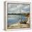 Forgotten Coast-Sydney Edmunds-Framed Premier Image Canvas