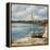 Forgotten Coast-Sydney Edmunds-Framed Premier Image Canvas