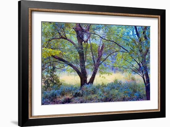 Forgotten Day Dreams-John Rivera-Framed Photographic Print