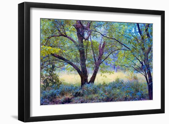 Forgotten Day Dreams-John Rivera-Framed Photographic Print