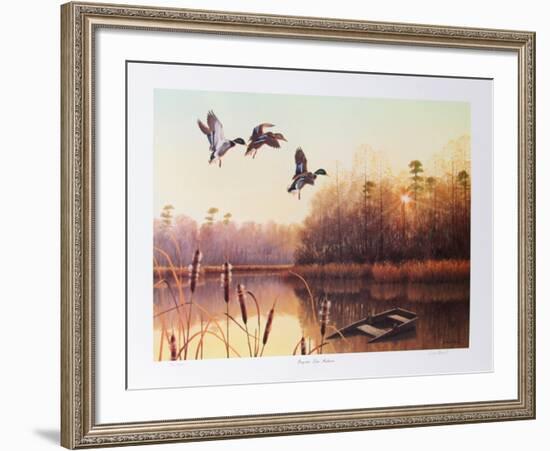 Forgotten Lake Mallards-Durant Ball-Framed Collectable Print