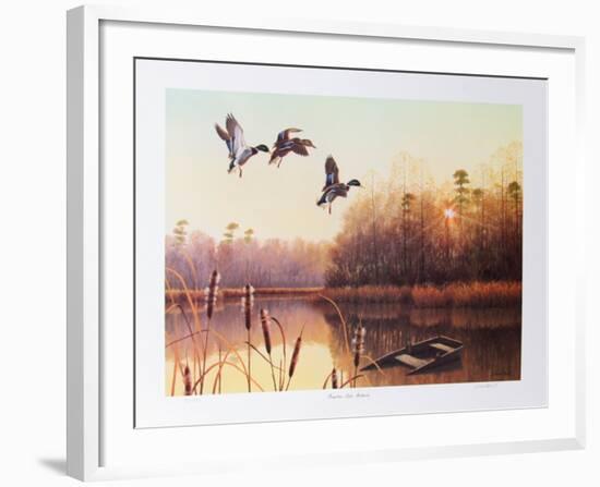 Forgotten Lake Mallards-Durant Ball-Framed Collectable Print