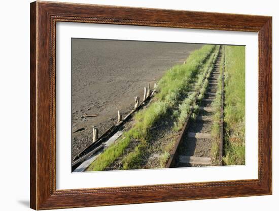 Forgotten Railway - 26-akorotaev-Framed Photographic Print